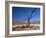 Dead Vlei, Sossusvlei Dune Field, Namib-Naukluft Park, Namib Desert, Namibia, Africa-Steve & Ann Toon-Framed Photographic Print