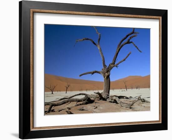 Dead Vlei, Sossusvlei Dune Field, Namib-Naukluft Park, Namib Desert, Namibia, Africa-Steve & Ann Toon-Framed Photographic Print