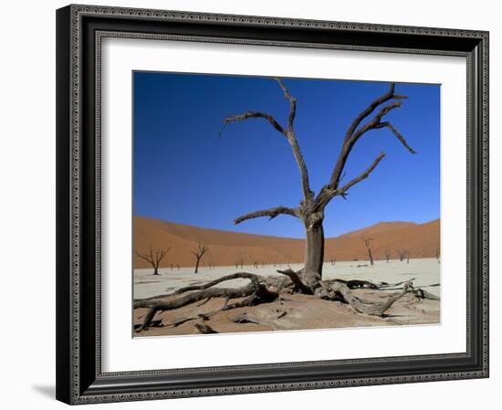 Dead Vlei, Sossusvlei Dune Field, Namib-Naukluft Park, Namib Desert, Namibia, Africa-Steve & Ann Toon-Framed Photographic Print