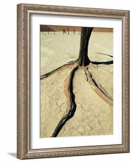 Dead Vlei, Sossuvlei Dune Field, Namib-Naukluft Park, Namib Desert, Namibia, Africa-Ann & Steve Toon-Framed Photographic Print