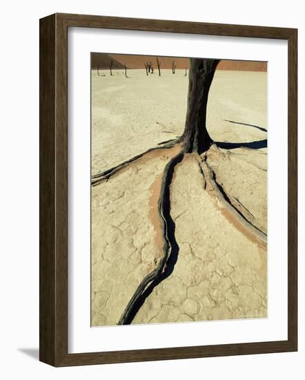 Dead Vlei, Sossuvlei Dune Field, Namib-Naukluft Park, Namib Desert, Namibia, Africa-Ann & Steve Toon-Framed Photographic Print