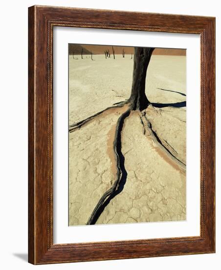 Dead Vlei, Sossuvlei Dune Field, Namib-Naukluft Park, Namib Desert, Namibia, Africa-Ann & Steve Toon-Framed Photographic Print