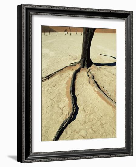 Dead Vlei, Sossuvlei Dune Field, Namib-Naukluft Park, Namib Desert, Namibia, Africa-Ann & Steve Toon-Framed Photographic Print