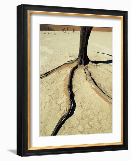 Dead Vlei, Sossuvlei Dune Field, Namib-Naukluft Park, Namib Desert, Namibia, Africa-Ann & Steve Toon-Framed Photographic Print