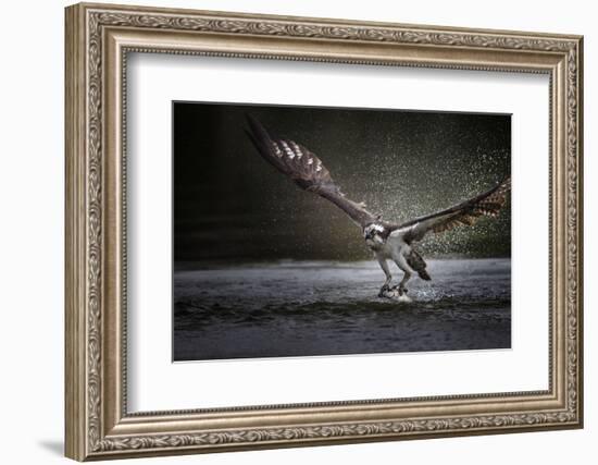 Deadly Catch-Phillip Chang-Framed Photographic Print