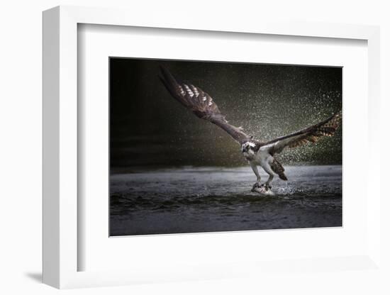 Deadly Catch-Phillip Chang-Framed Photographic Print