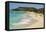 Deadwood Beach, Antigua, Antigua and Barbuda, Leeward Islands-Tony Waltham-Framed Premier Image Canvas