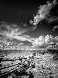 Mesa Arch at Sunrise-Dean Fikar-Photographic Print