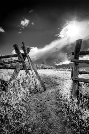 Photographic Print, , large