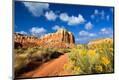 Photographic Print