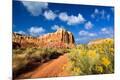 Photographic Print