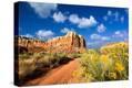Stretched Canvas Print
