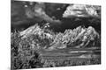 Photographic Print