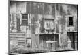 Photographic Print