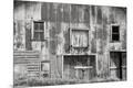 Photographic Print