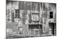 Photographic Print
