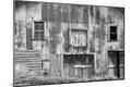 Photographic Print