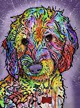 Sweet Poodle-Dean Russo-Giclee Print
