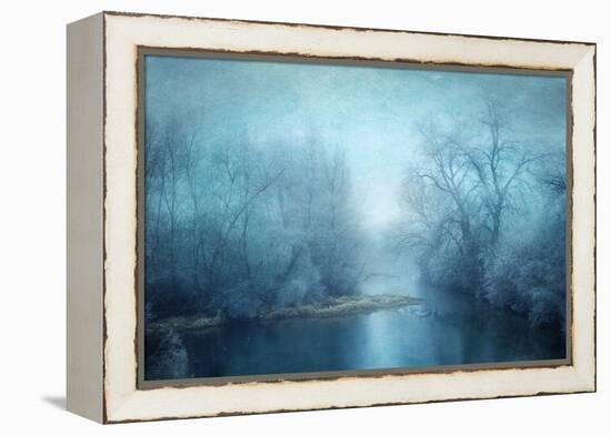 Dear Blue-Philippe Sainte-Laudy-Framed Premier Image Canvas