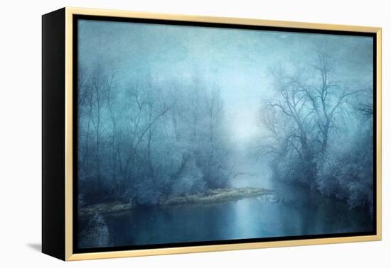 Dear Blue-Philippe Sainte-Laudy-Framed Premier Image Canvas