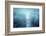 Dear Blue-Philippe Sainte-Laudy-Framed Photographic Print