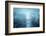 Dear Blue-Philippe Sainte-Laudy-Framed Photographic Print