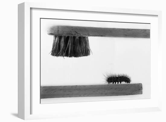 ...Dear Friend-Stefano Mallus-Framed Photographic Print