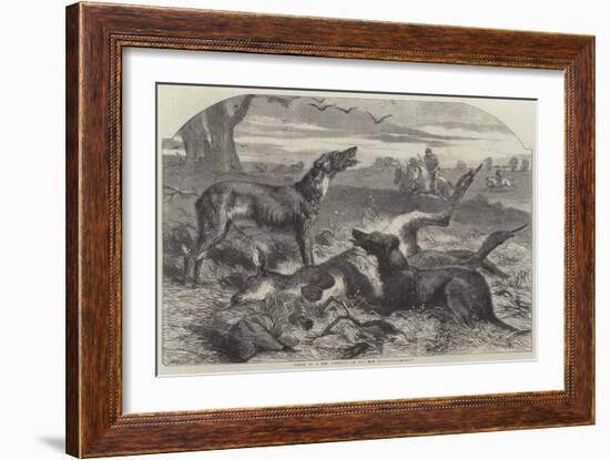 Death of a Red Forester or Old Man Kangaroo-Harrison William Weir-Framed Giclee Print