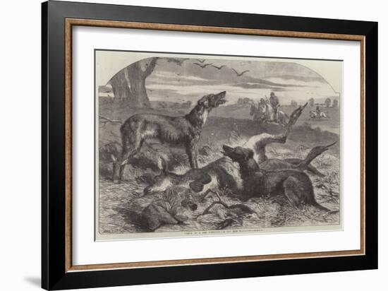 Death of a Red Forester or Old Man Kangaroo-Harrison William Weir-Framed Giclee Print