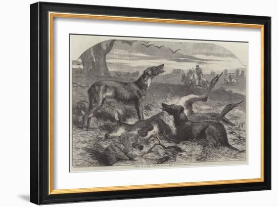 Death of a Red Forester or Old Man Kangaroo-Harrison William Weir-Framed Giclee Print