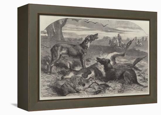 Death of a Red Forester or Old Man Kangaroo-Harrison William Weir-Framed Premier Image Canvas