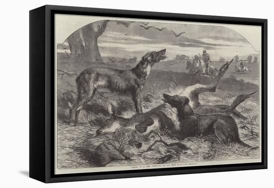 Death of a Red Forester or Old Man Kangaroo-Harrison William Weir-Framed Premier Image Canvas