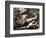 Death of Adonis-Jusepe de Ribera-Framed Giclee Print