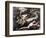 Death of Adonis-Jusepe de Ribera-Framed Giclee Print