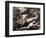 Death of Adonis-Jusepe de Ribera-Framed Giclee Print