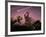 Death of Dinosaurs-Joe Tucciarone-Framed Photographic Print