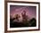 Death of Dinosaurs-Joe Tucciarone-Framed Photographic Print