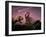 Death of Dinosaurs-Joe Tucciarone-Framed Photographic Print