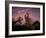 Death of Dinosaurs-Joe Tucciarone-Framed Photographic Print