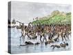 Stretched Canvas Print