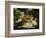 Death of Procris-Paolo Veronese-Framed Giclee Print