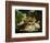 Death of Procris-Paolo Veronese-Framed Giclee Print