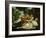 Death of Procris-Paolo Veronese-Framed Giclee Print