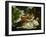 Death of Procris-Paolo Veronese-Framed Giclee Print