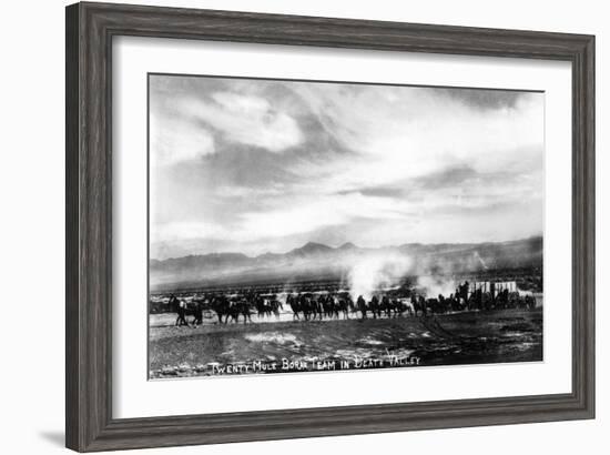 Death Valley, California - View of a Twenty Mule Borax Team-Lantern Press-Framed Art Print