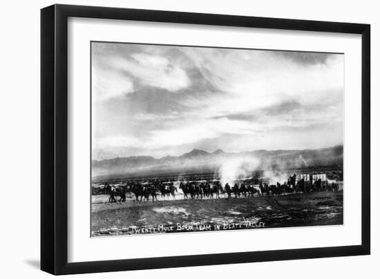 Death Valley, California - View of a Twenty Mule Borax Team-Lantern Press-Framed Art Print