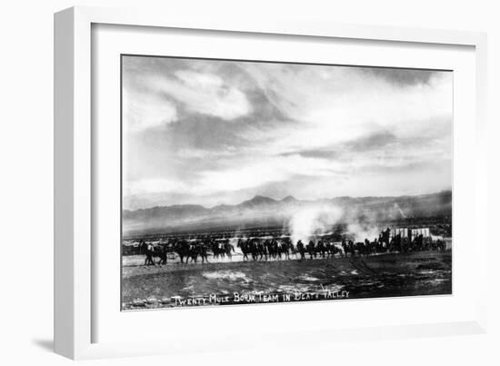 Death Valley, California - View of a Twenty Mule Borax Team-Lantern Press-Framed Art Print