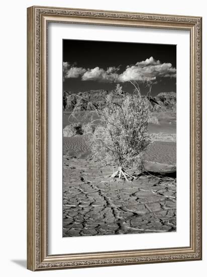 Death Valley Dunes I-George Johnson-Framed Photographic Print