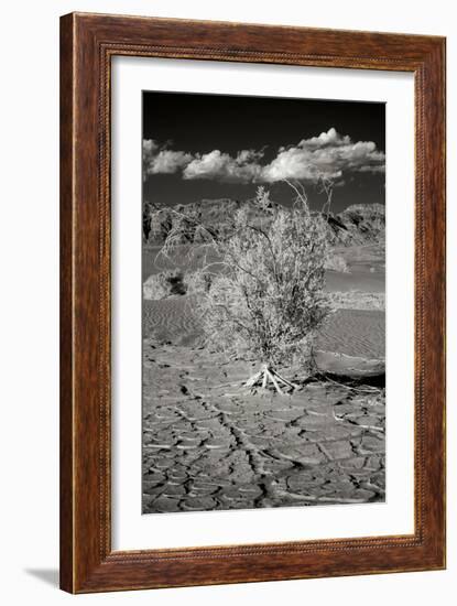 Death Valley Dunes I-George Johnson-Framed Photographic Print