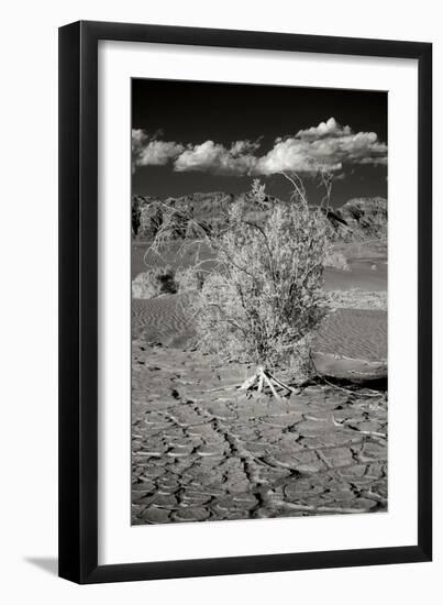 Death Valley Dunes I-George Johnson-Framed Photographic Print